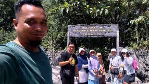 paku rock maze garden